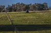 51 Normanhurst Lane, Boorowa, NSW 2586-Image