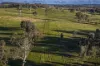 51 Normanhurst Lane, Boorowa, NSW 2586-Image