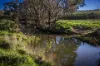 51 Normanhurst Lane, Boorowa, NSW 2586-Image