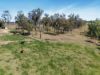 51 Patrick Road, Clarendon QLD 4311-Image