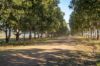 51 Patrick Road, Clarendon QLD 4311-Image