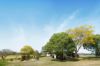 51 Patrick Road, Clarendon QLD 4311-Image