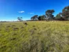 510 Gray Road, Pingrup WA 6343-Image
