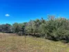510 Gray Road, Pingrup WA 6343-Image