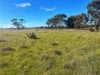 510 Gray Road, Pingrup WA 6343-Image