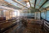 510 Munyaplah Settlement Road, Alma Park, NSW 2659-Image