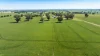 510 Munyaplah Settlement Road, Alma Park, NSW 2659-Image