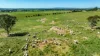 510 Munyaplah Settlement Road, Alma Park, NSW 2659-Image