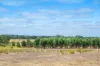 512 Tanah Marah Road, Bramley WA 6285-Image