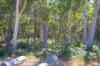 512 Tanah Marah Road, Bramley WA 6285-Image