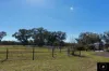 5154 Coonabarabran Road, Colly Blue, NSW 2343-Image