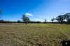 5154 Coonabarabran Road, Colly Blue, NSW 2343-Image