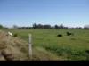 53 Schwenckes Road, Milnes Bridge, Vic 3579-Image