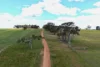 530 Watermans Road, Narrikup, WA 6326-Image