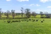 5329 Bass Highway, Deloraine, Tas 7304-Image