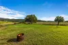 540 Pimlico Road, Pimlico, NSW 2478-Image