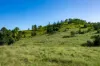 55 Jerry Creek Road, Langshaw QLD 4570-Image