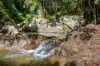 55 Jerry Creek Road, Langshaw QLD 4570-Image