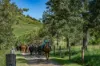 55 Jerry Creek Road, Langshaw QLD 4570-Image