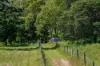 55 Jerry Creek Road, Langshaw QLD 4570-Image