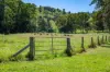 55 Jerry Creek Road, Langshaw QLD 4570-Image
