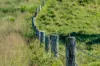 55 Jerry Creek Road, Langshaw QLD 4570-Image