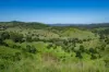 55 Jerry Creek Road, Langshaw QLD 4570-Image