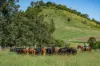 55 Jerry Creek Road, Langshaw QLD 4570-Image