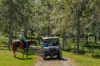 55 Jerry Creek Road, Langshaw QLD 4570-Image
