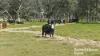 555 Mail Bridge Road, Reedy Creek, SA 5275-Image
