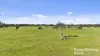 555 Mail Bridge Road, Reedy Creek, SA 5275-Image