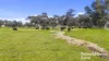 555 Mail Bridge Road, Reedy Creek, SA 5275-Image