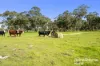 555 Mail Bridge Road, Reedy Creek, SA 5275-Image