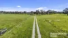 555 Mail Bridge Road, Reedy Creek, SA 5275-Image
