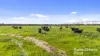 556 Mail Bridge Road, Reedy Creek, SA 5275