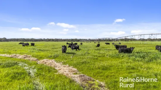 556 Mail Bridge Road, Reedy Creek, SA 5275