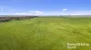 556 Mail Bridge Road, Reedy Creek, SA 5275-Image