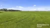 556 Mail Bridge Road, Reedy Creek, SA 5275-Image