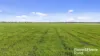 556 Mail Bridge Road, Reedy Creek, SA 5275-Image