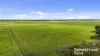 556 Mail Bridge Road, Reedy Creek, SA 5275-Image