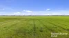 556 Mail Bridge Road, Reedy Creek, SA 5275-Image