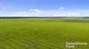 556 Mail Bridge Road, Reedy Creek, SA 5275-Image