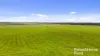 556 Mail Bridge Road, Reedy Creek, SA 5275-Image