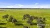 556 Mail Bridge Road, Reedy Creek, SA 5275-Image