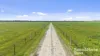 556 Mail Bridge Road, Reedy Creek, SA 5275-Image