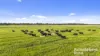 556 Mail Bridge Road, Reedy Creek, SA 5275-Image