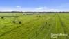 556 Mail Bridge Road, Reedy Creek, SA 5275-Image