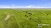 556 Mail Bridge Road, Reedy Creek, SA 5275-Image