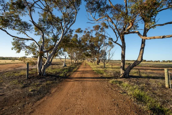 5566 Tieline Road, Gnowangerup WA 6335-Image