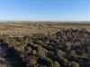 5566 Tieline Road, Gnowangerup WA 6335-Image